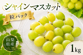 【2026年発送】先行予約 シャインマスカット 粒 1kg 500g×2 ご家庭用 山梨県産 【山梨県笛吹市 産地直送】ぶどう フルーツ 果物 209-010-26y