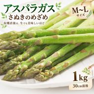 アスパラガス アスパラ さぬきのめざめ セミロング 1kg 30cm前後 MからL 根元まで柔らか 穂先 シャキシャキ 歯ごたえ 爽やかな甘み 家庭用 自宅用 ギフト 冷蔵 野菜 お取り寄せ はなまる農園 香川県 東かがわ市 46311865