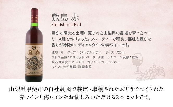 【敷島 赤 & 甲州小梅ワイン】2本セット 　F-2