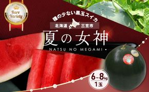 《2026年分受付中》『夏の女神』大玉！種が少なくて甘い黒皮スイカ1玉入（6～8kg）【01061】