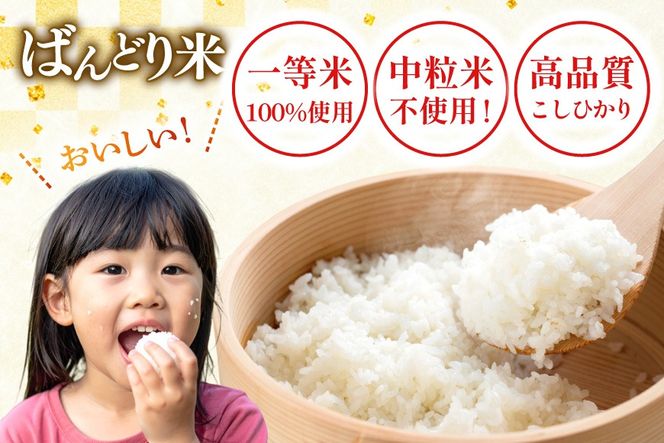 【期間限定発送】 米 令和7年 ばんどり米 コシヒカリ 精米 5kg [農事組合法人東和 富山県 舟橋村 57050201] お米 白米 美味しい こしひかり 富山 農家