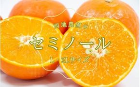 L・2Lサイズのみ 西地農園のセミノール 4.5kg【2026年3月中旬から順次発送】 / セミノール L 2L みかん 蜜柑 柑橘 4.5kg【mnd005B】