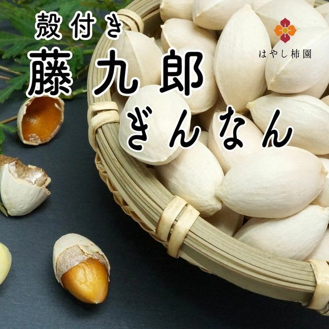 藤九郎 ぎんなん（大粒）1kg | ぎんなん 銀杏 大粒 もちもち おつまみ 酒の肴 秋 野菜 イチョウ 疲労回復 美容 炊き込みご飯 茶碗蒸し 人気 はやし柿園 産地直送 送料無料 岐阜 瑞穂市 ※2026年11月～発送