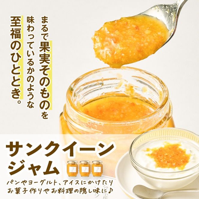 サンクイーンジャム(3個)フルーツ 果物 柑橘 ジャム 大分県産 特産品 大分県 佐伯市 防災 常温 常温保存【DT12】【全国農業協同組合連合会大分県本部】