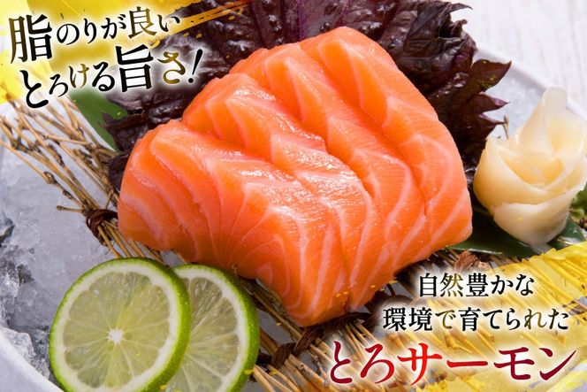 定期便 訳あり とろサーモン 刺身 3パック計600g×6回 総計3.6kg 毎月 6回 定期 [たみこの海パック 宮城県 南三陸町 m304amh560075] サーモン 魚 魚介類 海鮮 さしみ 生食 鮭 さけ トラウト ハラミ トロ 冷凍 小分け