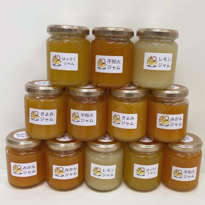 【2026年3月以降順次発送】数量限定！店主にお任せ 無添加 柑橘ジャム140g×3個  DB028