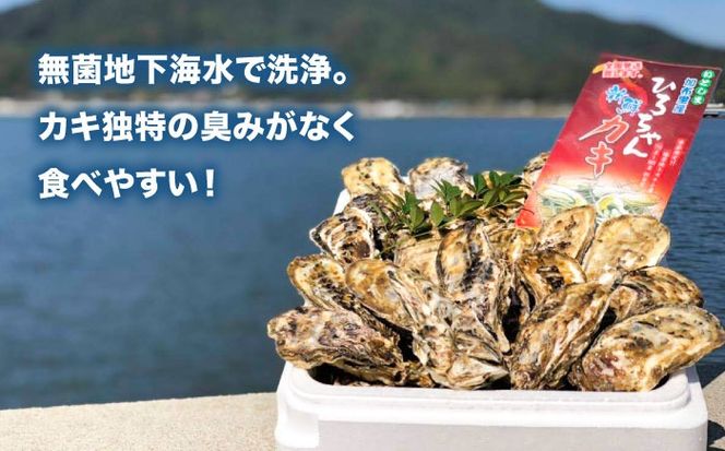 加熱用 殻付き牡蠣 3kg 真牡蠣 活牡蠣 ひろちゃんカキ / 糸島市[AJA003]