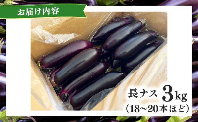 ＜先行予約＞北海道伊達産 長ナス 3kg 詰め [2026年発送]【ogr-001】
