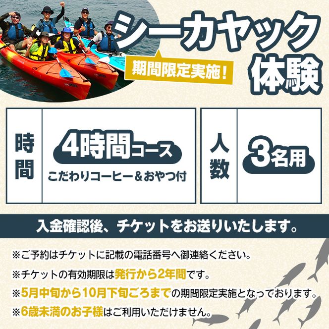 期間限定実施 シーカヤック体験チケット(4時間/3名) 阿久根 シーカヤック アウトドア アクティビティ 自然 体験 ツアー チケット マリンスポーツ【パズル】akn098-11