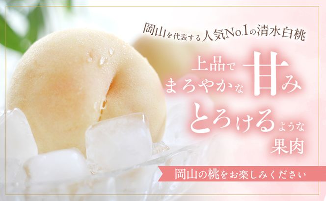 桃 2026年 先行予約 清水 白桃 約3.75kg 10～15玉 進物用 もも モモ フルーツ 果物 岡山 赤磐市産 農マル園芸 あかいわ農園 家庭用 3.75キロ 