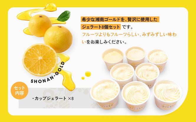 湘南ゴールドジェラート8個セット 142069_HY007