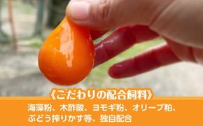 【定期便】11回定期 【天王原のたまご】 ロイヤル卵 30個入り 定期便 たまご 卵