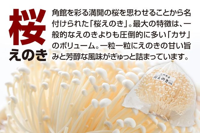 みちのくの小京都・角館が育んだ「2種セット」（桜えのき約300g×3袋、原木しいたけ×3パック） [えのき エノキ しいたけ 椎茸 シイタケ 秋田県 仙北市 角館]|02_sne-050101