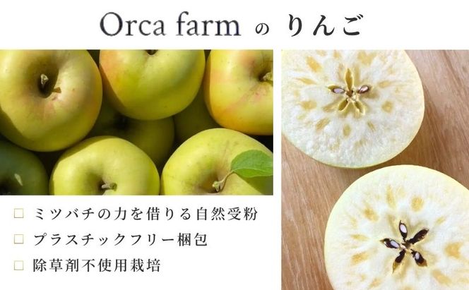 【2026年10月～発送】ぐんま名月 家庭用 約5kg りんご リンゴ 林檎 果物 フルーツ 長野県 長野 山ノ内町