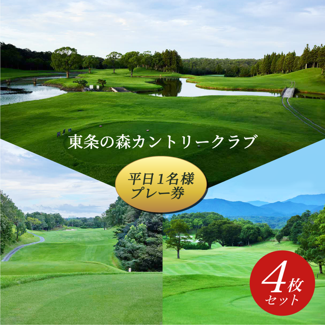 yɌsz̐XJg[Nu  1l v[ (4Zbg) ̐XCC [ St s Ɍ ֐ St ] Stꗘp