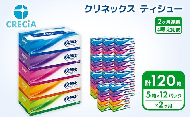 【 定期便 2ヶ月 】 ティッシュ クリネックス 60箱 ( 5箱 × 12パック ) 