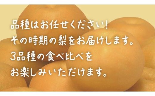 【食べ比べ】 梨 3品種 合計 約7kg 【2026年9月上旬発送開始】(茨城県共通返礼品：大子町) なし 果物 くだもの フルーツ おまかせ 旬