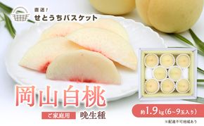 桃 2026年 先行予約 岡山 白桃（晩生種）ご家庭用 約2kg 6～9玉入り もも モモ 岡山県産 国産 フルーツ 果物 直送！せとうちバスケット こだわり 特産品 白い 香り 果汁 シーズン 高糖度 