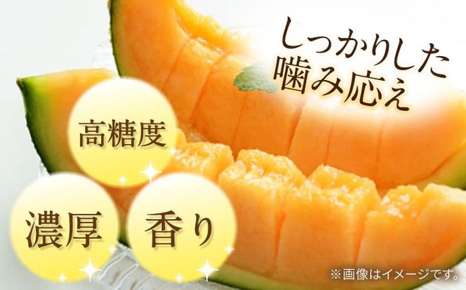 【2026年5月〜発送】タカミメロン レッド 2玉 / メロン めろん フルーツ 果物 / 南島原市 / 南島原果物屋[SCV030]