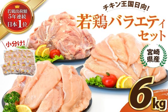 宮崎県産若鶏バラエティセット 6kg [エム・ティ・シー 宮崎県 日向市 452061270] 鶏肉 もも肉 小分け むね肉 ささみ ササミ 肉 冷凍 国産