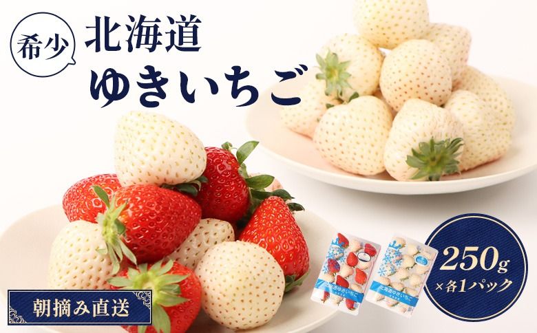 [12月以降、随時発送!][北海道産]ゆきいちご(ゆきぼたん/すず)白×MIX 2Pセット 各250g×2 計500g
