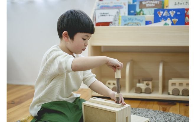 国産檜 IKONIH／アイコニー 大工セット 子ども おもちゃ 303446_DS90022