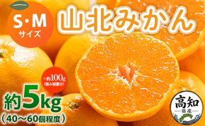 みかん 山北みかん S・Mサイズ 約5kg（40～60個程度） 山北みらい 秀品 - 果物 フルーツ 柑橘類 温州みかん ミカン 蜜柑 甘い おいしい 美味しい 高知県 香南市 yk-0062