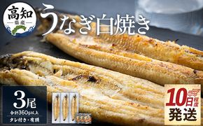 うなぎ 白焼き【10日程度で発送】高知県産鰻の白焼き120～130ｇ 3尾 蒲焼きのタレ3袋 エコ包装 yw-0127