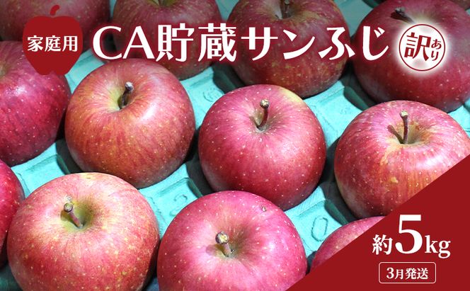 【平均糖度13度以上】3月発送 家庭用 訳あり CA貯蔵 サンふじ 約 5kg りんご リンゴ 林檎 果物 フルーツ わけあり 青森