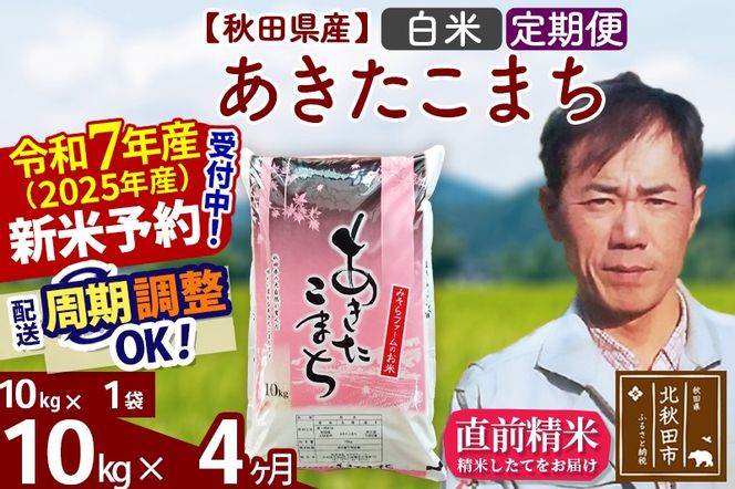 ※令和7年産 新米予約※《定期便4ヶ月》秋田県産 あきたこまち 10kg【白米】(10kg袋) 2025年産 お届け周期調整可能 隔月に調整OK お米 みそらファーム|msrf-10604