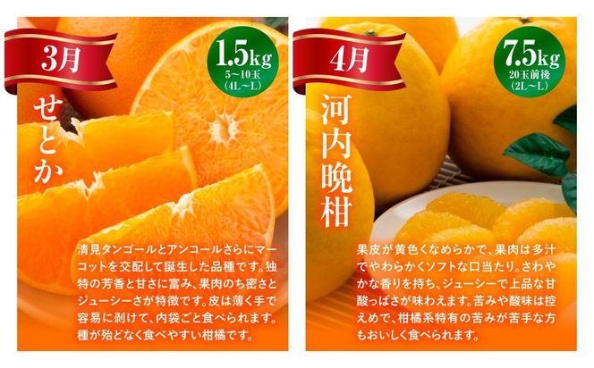 【愛媛県共通返礼品】【定期便】愛媛の柑橘定期便（全6回）（日の丸みかん・紅まどんな・いよかん・デコポン・せとか・河内晩柑） ※2026年11月～2027年4月に毎月1回発送予定 IKTAX018
