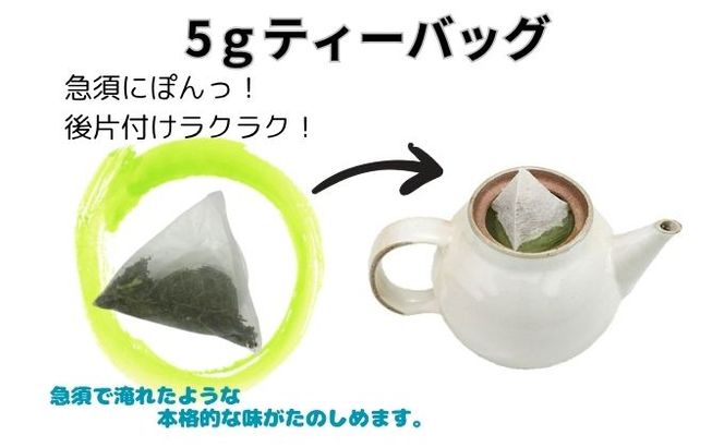 本格 深蒸し煎茶 ティーバッグ詰合せ 1（2g[7個入]×2袋・5g[7個入]×2袋）