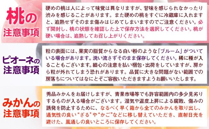 人気フルーツ全3回（7月・9月・11月）定期便 厳選館《7月上旬-11月末頃出荷》和歌山県 日高川町 果物 フルーツ 和歌山の 桃 種なし ピオーネ 有田 みかん 送料無料【配送不可地域あり】---wshg_ctmttei_24_43000_7911y3---