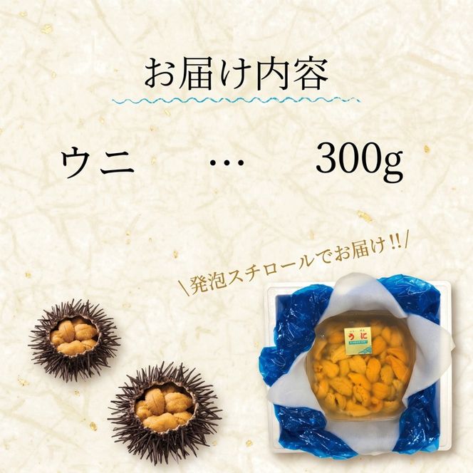 生ウニ 300g ミョウバン不使用 生うに 三陸産 国産 岩手県産 天然 キタムラサキウニ ウニ丼 刺身 雲丹 冷蔵 災害 震災 被災 火災 支援 三陸 大船渡市 岩手県 [56500456_1]
