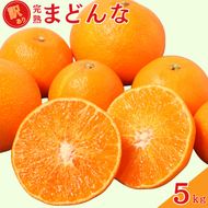 【先行予約：2026年12月上旬～発送】 訳あり 完熟まどんな 5kg サイズミックス みかん 蜜柑 mikan まどんな 愛果28号 人気 ブランド 高級 紅まどんな 同品種 柑橘 果物 フルーツ 甘い おいしい 産地直送 農家直送 国産 特産品 中山農園 愛媛県 愛南町 