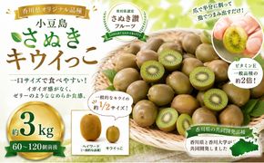 小豆島さぬきキウイっこ 約3kg キウイ フルーツ 果物 香川県 土庄町