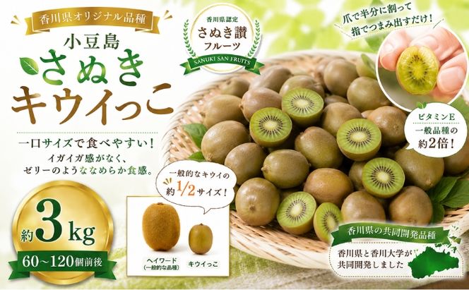 小豆島さぬきキウイっこ 約3kg キウイ フルーツ 果物 香川県 土庄町