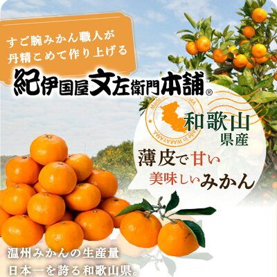 V7440_【2026年先行予約】有田みかん 約15kg(+傷み補填分1kg)=合計16kg【サイズおまかせ】 / 産地直送 / 紀伊国屋文左衛門本舗（お届け日指定不可）