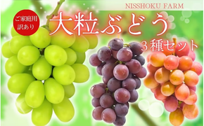 【2026年先行予約】NISSHOKU FARM ご家庭用大粒ぶどう３種セット岡山　訳あり【NF-13-01】 ぶどう 詰め合わせ 真庭市 食べ比べ【nisfarm013-02】