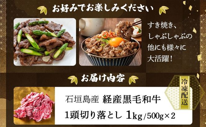 石垣島産経産黒毛和牛 1頭切り落とし 1kg