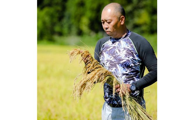 令和7年産！魚沼産コシヒカリ【農家直送!】 5kg×1袋 お米 米 コメ 