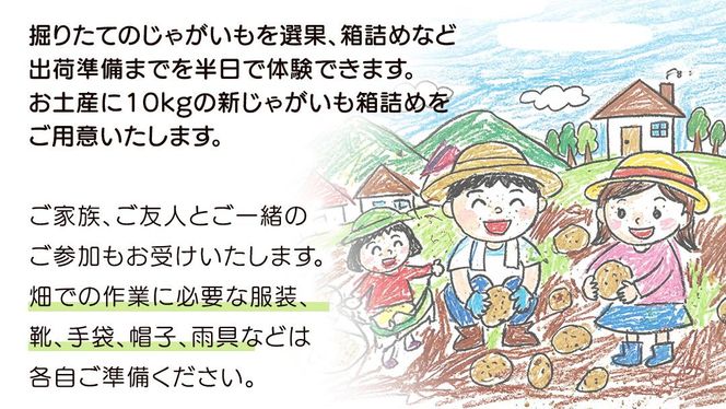 じゃがいも 「 とうや 」 収穫体験 (6/6（土）、6/7（日）開催) ジャガイモ 芋 収穫体験チケット 収穫 収穫体験 体験 チケット 観光 旅行 自然 農業体験 お土産 持ち帰り