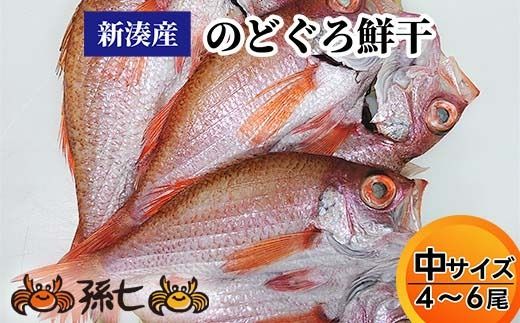 【新湊産】のどぐろ鮮干し（中サイズ４/６尾）