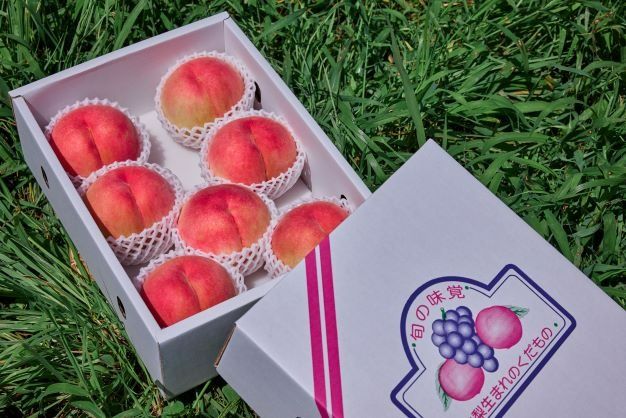 ＜26年発送先行予約＞河口湖で初の桃栽培！オリジナルブランド富士桃(約２キロ) FAH010