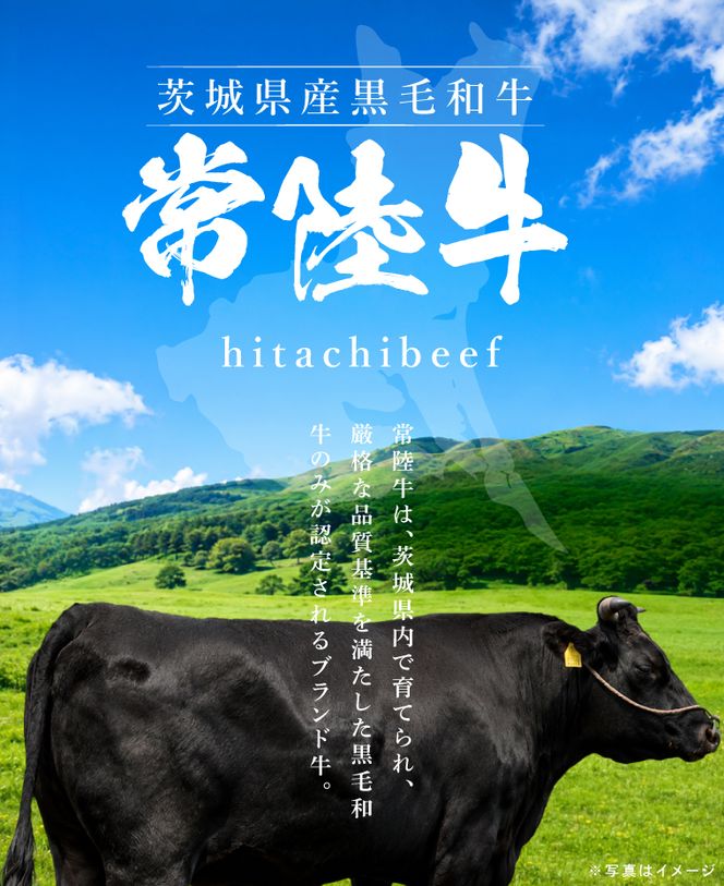 常陸牛ランプ肉 焼き肉用 500g|黒毛和牛 国産牛 赤身肉 希少部位 牛肉 人気 茨城県 取手市（AV002）