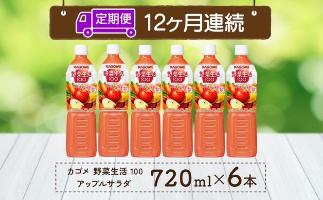 ns038-073　【定期便】12ヵ月連続野菜生活100 アップルサラダ 720mlPET