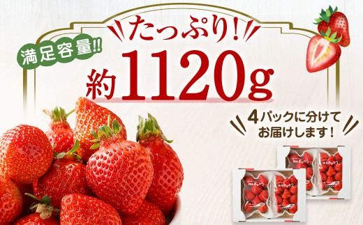 【数量限定】1月3日～5日発送「博多あまおう」約280g×4パック 計1.12kg【ほたるの里】 _HA0662