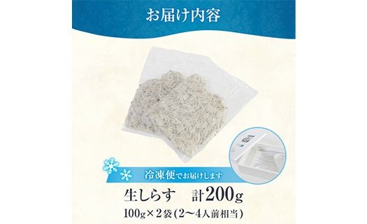 豊洋丸の鮮度抜群！ 生しらすセット (計200g・100g×2個) 冷凍 しらす しらす丼 丼ぶり 魚 さかな ご飯 ごはん 炒飯 チャーハン パスタ サラダ 国産 大分県 パック 小分け 便利 大分県 佐伯市【HK01】【OITAしらすhoyomaru豊洋丸】