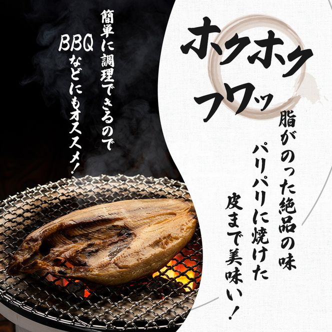 干物セット 10品程度(5～8種)「秋田のうまいものセットA」（干物 セット ひもの 冷凍 詰め合わせ ） 国産 無添加 長期保存 鮭 さば カレイ一夜干し 