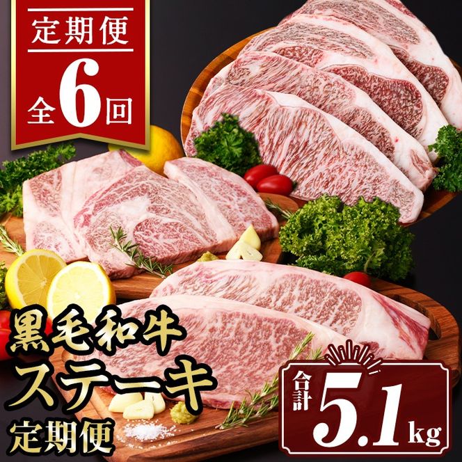yɍszisa642 y6zјaXe[L(v5.1kg) ^ ^pbN u[X T[C Xe[L    AEghA Hה BBQ Ⓚ yTL[~[gЁz